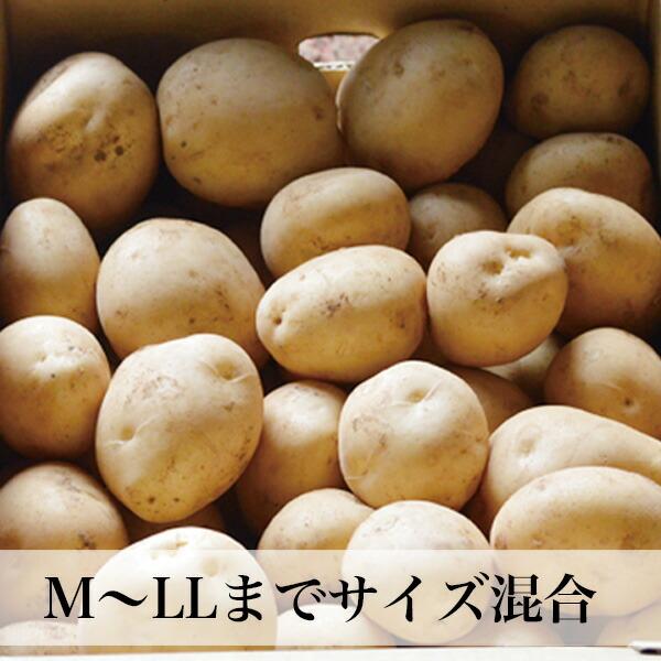 新じゃがいも 5kg 出島 新ジャガイモ 長崎県島原産 芽止め照射不使用