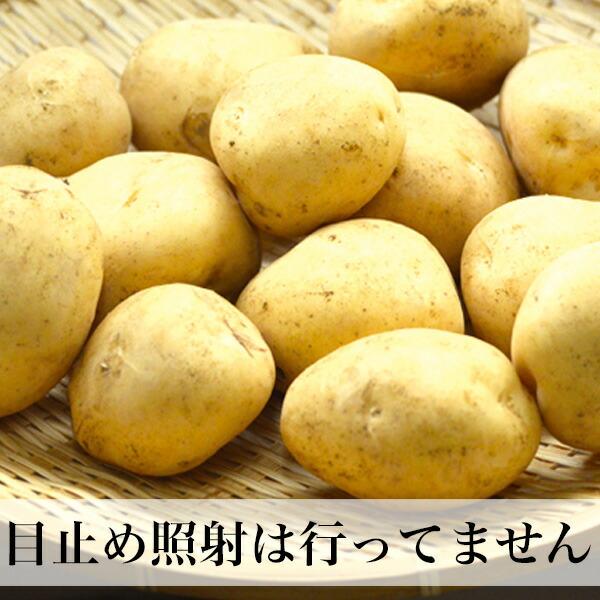 新じゃがいも 10kg 出島 新ジャガイモ 長崎県島原産 芽止め照射不使用