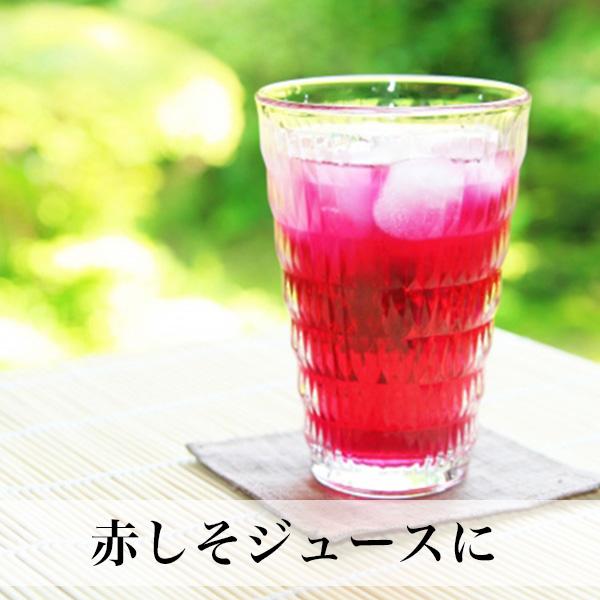 赤しそ 葉 2kg 250g×8束 梅干し用 赤紫蘇ジュース用 福岡県芦屋産 : 朝