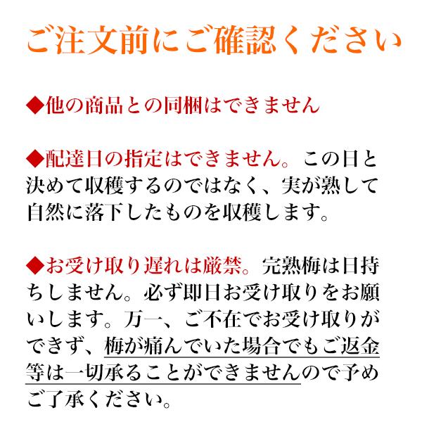 南高梅 完熟 梅干し用 10kg 2L〜4L 完熟南高梅 梅酒用 梅 大分産