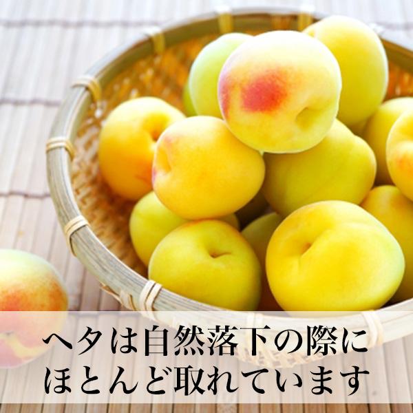 南高梅 完熟 梅干し用 10kg 2L〜4L 完熟南高梅 梅酒用 梅 大分産