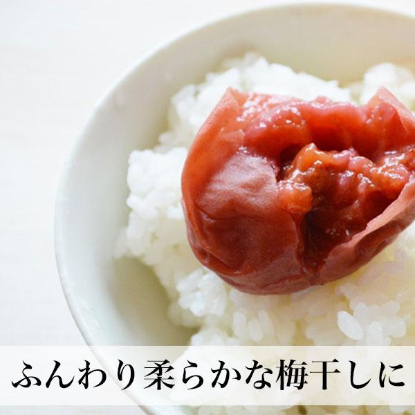 南高梅 完熟 梅干し用 10kg 2L〜4L 完熟南高梅 梅酒用 梅 大分産