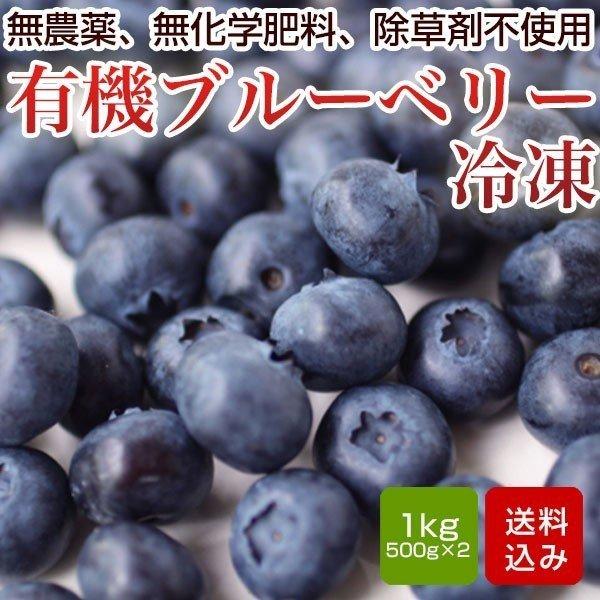 メーカー公式ショップ 有機ブルーベリー 1kg入 500g 2 無農薬 無化学肥料 除草剤不使用 長崎産 冷凍