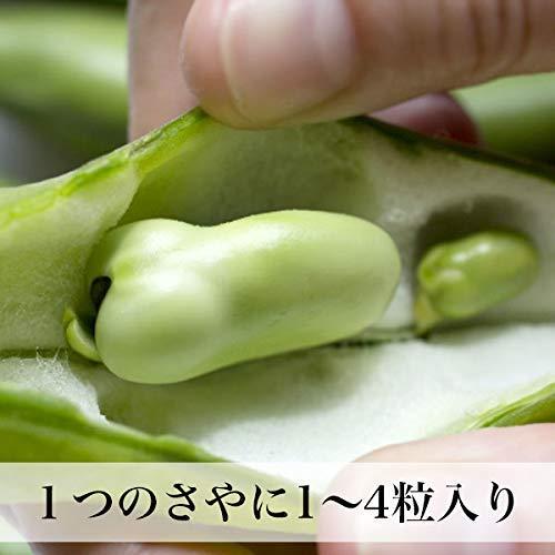 そらまめ 1kg 新物 ソラマメ そら豆 空豆 サイズ無選別 鹿児島県 そらまめ 1kg 新物 ソラマメ そら豆 空豆 サイズ無選別 鹿児島県