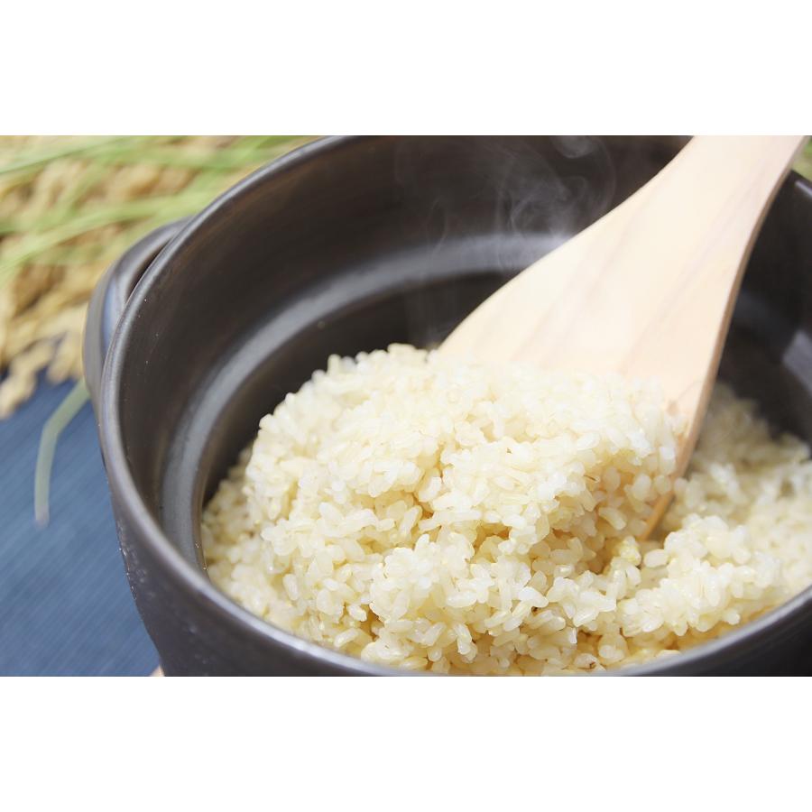 【減農薬・減化学肥料】木村義昭さんの炊飯器で発芽する玄米(3合)｜asagomon｜02