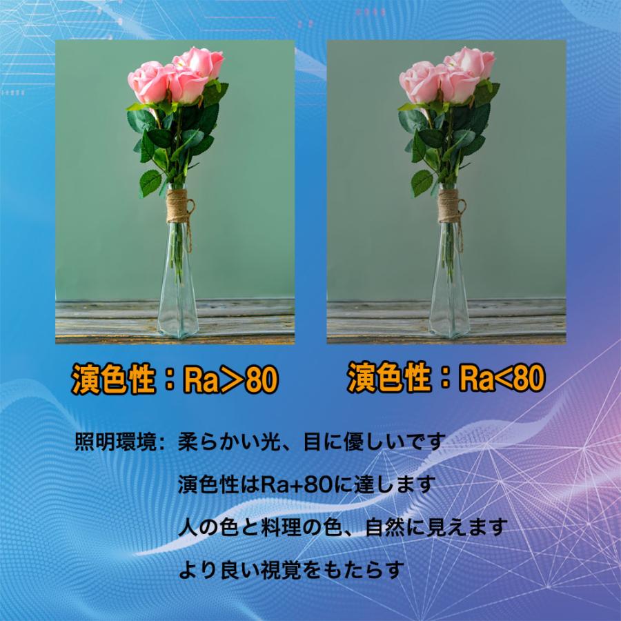 PAR56 LED 電球 60W 高天井用LED E39 IP66 防水 屋内 屋外投光器 倉庫