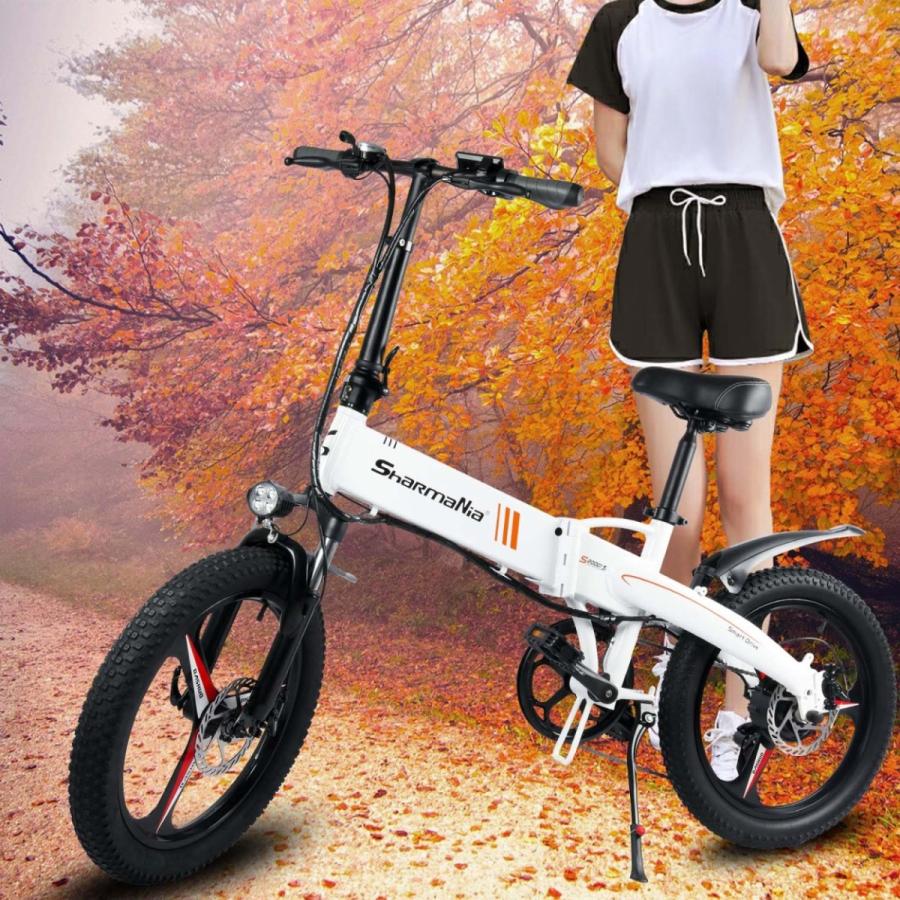 小型 自転車 おしゃれ