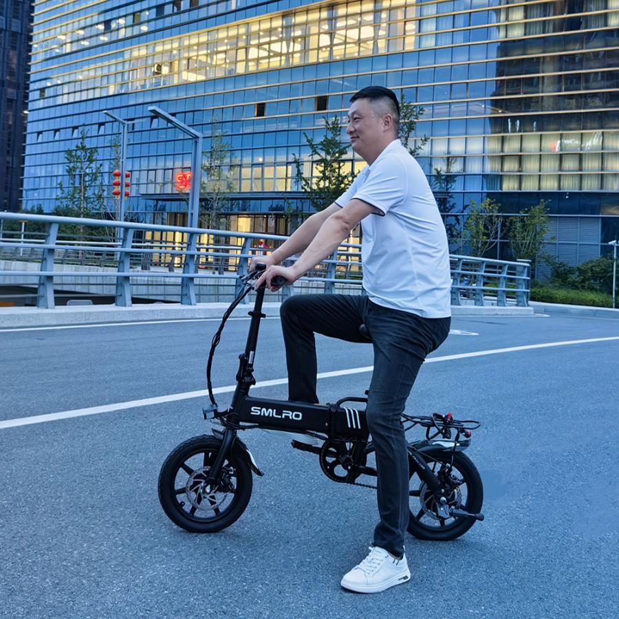 折りたたみ電動自転車 14インチ パワフル250W フル電動自転車 折りたたみ電動自転車 14インチ パワフル250W フル電動自転車