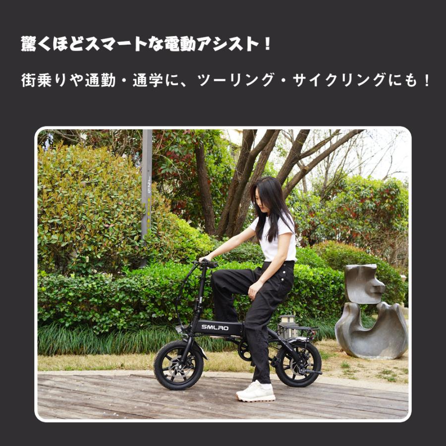 折りたたみ電動自転車 14インチ パワフル250W フル電動自転車 折りたたみ電動自転車 14インチ パワフル250W フル電動自転車