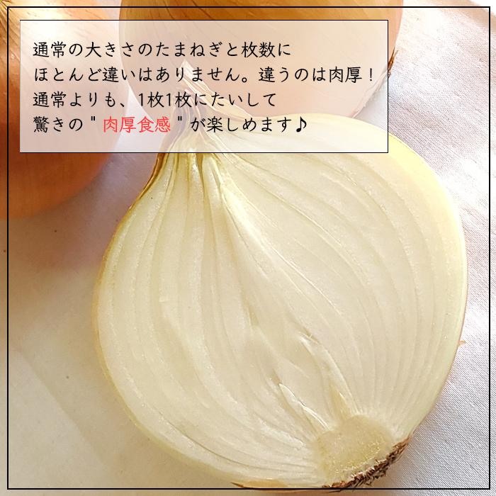 玉ねぎ 野菜 淡路島産 たまねぎ 大玉 20kg 特別栽培 業務用 減 玉ねぎ 野菜 淡路島産 たまねぎ 大玉 20kg 特別栽培 業務用 減