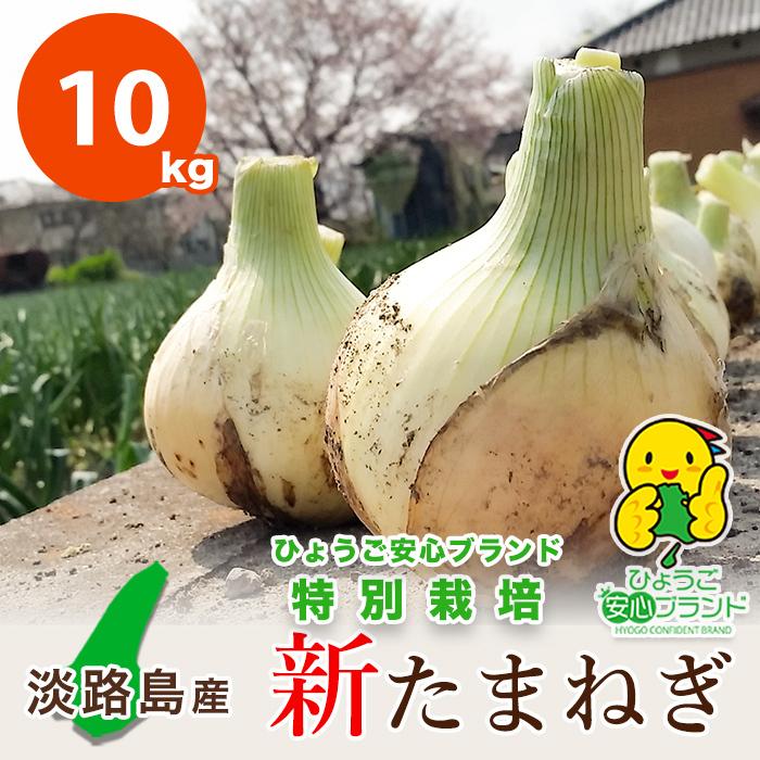 収穫次第発送】新たまねぎ 淡路島産 玉ねぎ サイズ混合 特別栽培