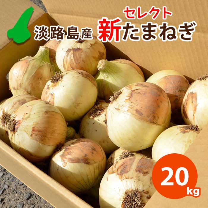新たまねぎ 玉ねぎ 淡路島産 サイズ混合 20kg 慣行栽培 セレクト