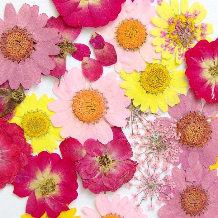 1セット 押し花セット B ピンク系 アクセサリー パーツ 材料 卸 ハンドメイド 手芸 Material0102 Craft Tamago Yahoo 店 通販 Yahoo ショッピング