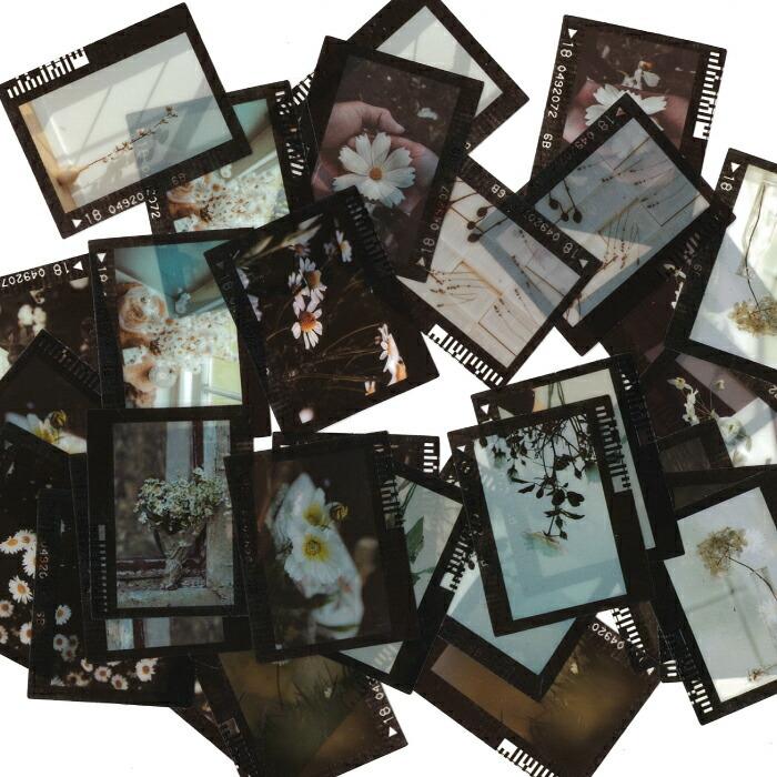 1パック シール 15柄30枚入 フィルム風 ホワイト系 レトロ ネガ 植物 アンティーク 資材 素材 アクセサリー パーツ 材料 ハンドメイド 卸 問屋 手芸 Za0099 1 Craft Tamago クラフトタマゴ 通販 Yahoo ショッピング