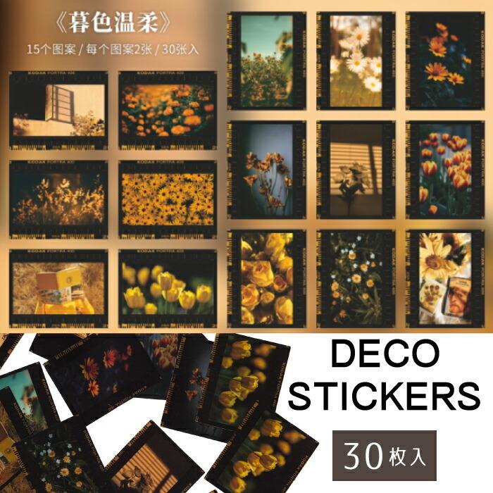 シール 15柄30枚入 フィルム風 イエロー系 レトロ ネガ 植物 アンティーク 資材 素材