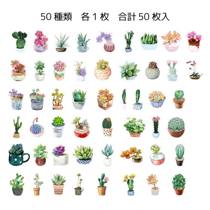 1箱 フレークシール 多肉植物 サボテン 箱入り 50種類 各1枚 ステッカー 資材 素材 アクセサリー パーツ 材料 ハンドメイド 卸 問屋 手芸 Za0112 1 Craft Tamago クラフトタマゴ 通販 Yahoo ショッピング