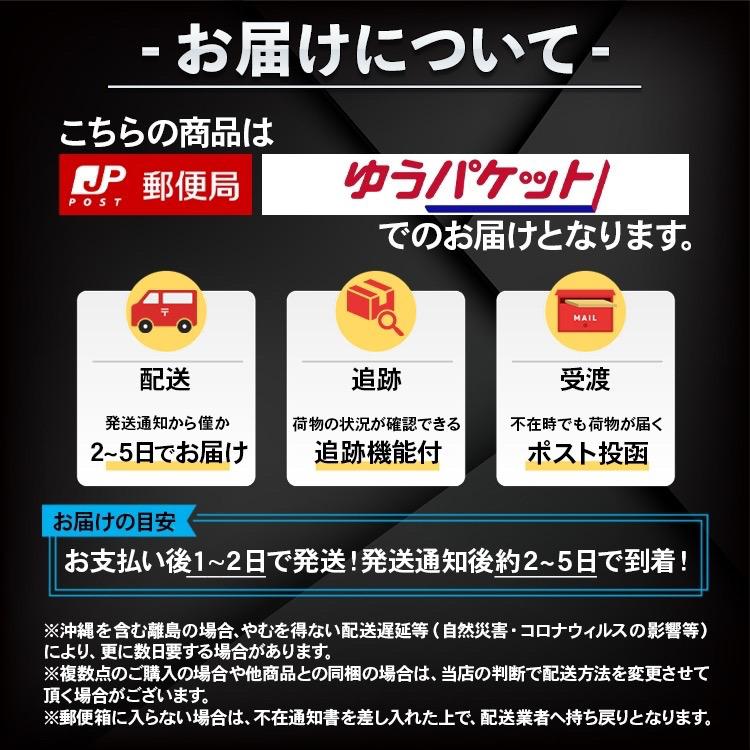 iPhone 106_2pcs 【365日発送】 2枚セット iPhone15 カメラカバー