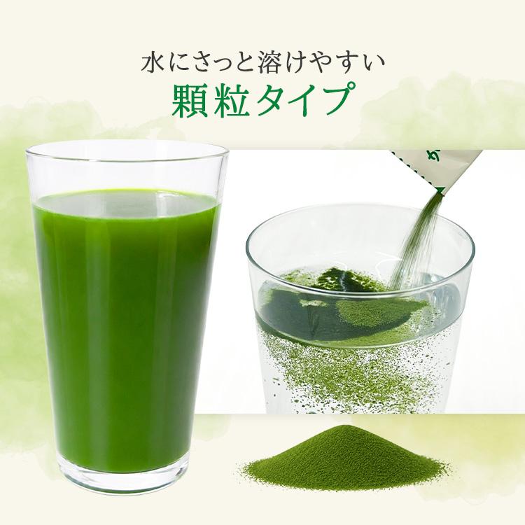 アサヒグループ食品 公式 からだ想いの青汁 30日分 L-92乳酸菌 L92