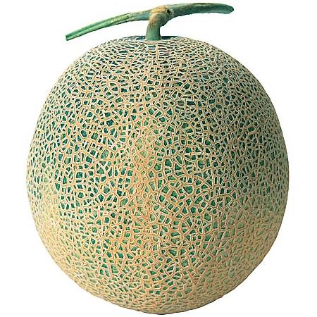 優品 「品種：ティアラ」 北海道アサヒメロン4玉 8キロ 001-raidentia8kg01.jpg