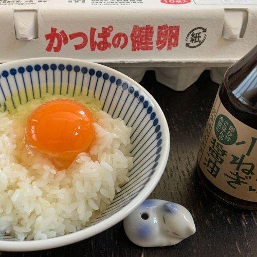 生卵お取り寄せ 生たまご 送料無料 生卵 ケース 濃厚 北海道 鶏卵 かっぱの健卵 たまご 20個入 比布町 大熊養鶏場 生卵 持ち運び ケース|asahikawajyogai|02