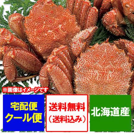 けがに 北海道産 毛蟹 送料無料 毛ガニ 特大 浜茹で毛がに 1kg 1000 G 2尾 価格 000 円 ポッキリ 送料無料 Kegani 1kg 02 北海道 ギフト 市場 通販 Yahoo ショッピング