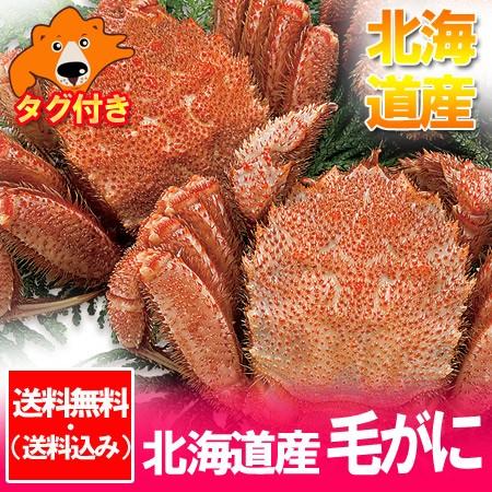 北海道 毛ガニ 2尾 送料無料 浜茹で けがに 毛蟹 ボイル 毛がに 北海道  