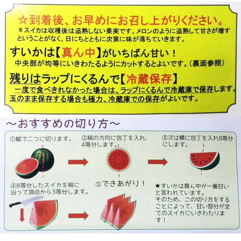 小玉すいか 送料無料 小玉 スイカ 北海道 富良野 すいか 麓郷 ( ろくごう ) 黒小玉すいか 富良野産 西瓜 箱入 4玉入 1箱 8kg ふらの すいか 皮が 黒いスイカ｜asahikawajyogai｜02