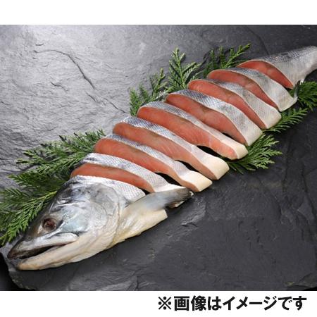 鮭 切り身 送料無料 鮭 切身 オホーツク 北海道 鮭 切り身 1.3kg 魚介類 海産物 鮭｜asahikawajyogai｜02