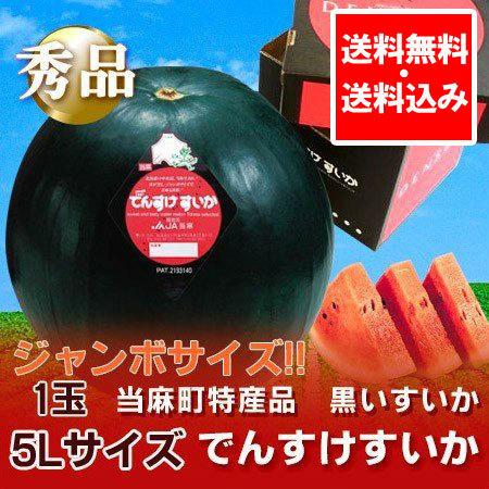 随時発送中 でんすけスイカ 送料無料 でんすけすいか 秀品 北海道