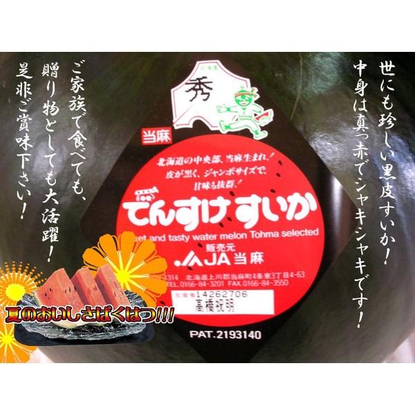 随時発送中 でんすけスイカ 送料無料 でんすけすいか 秀品 北海道