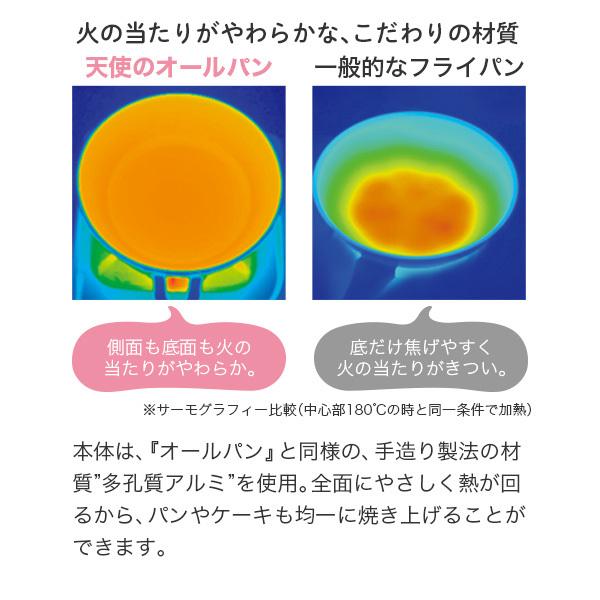 アサヒ軽金属 フライパン ガス コンパクト 浅型 軽量 小型 ミニサイズ