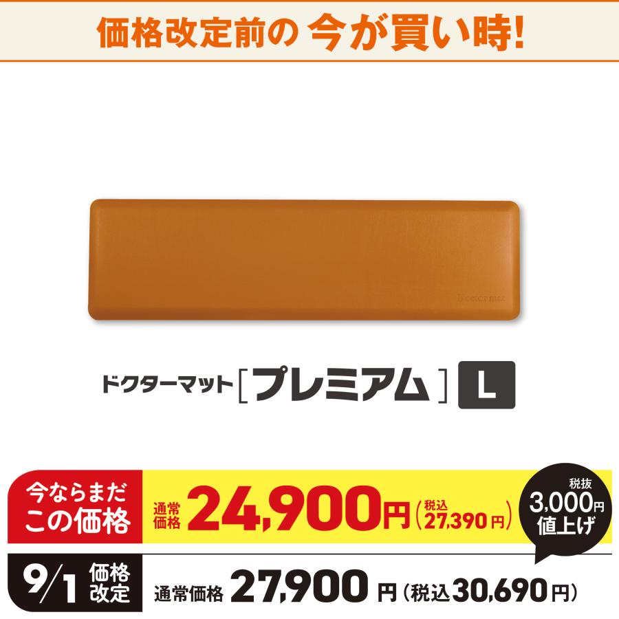 アサヒ軽金属 【9月1日値上げ】キッチンマット 厚手 マット Lサイズ