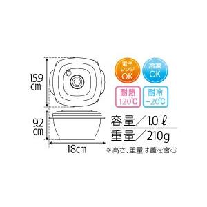 アサヒ軽金属 ＼ポイント10倍／ 保存容器 フードコンテナ 電子レンジ