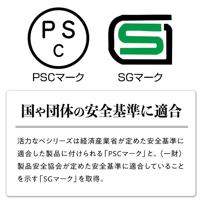 アサヒ軽金属 ＼10%OFFクーポン／ 圧力鍋 サイズ(R) IH ガス 時短 節電
