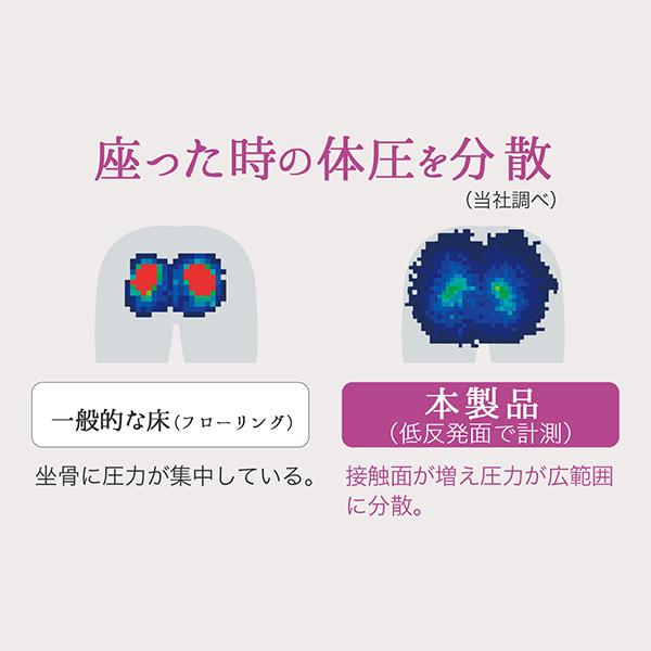 アサヒ軽金属 【9月1日値上げ】「癒し座布団（丸/3色セット）」座布団