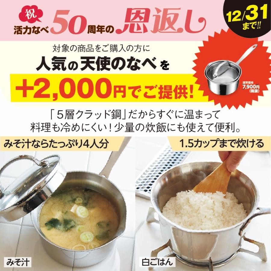 アサヒ軽金属 ＼10%OFFクーポン／ 圧力鍋 サイズ(M) IH ガス 時短 節電
