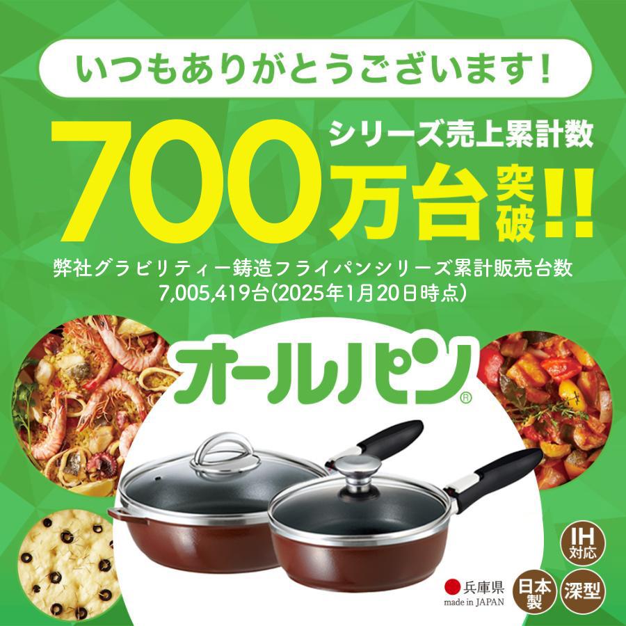 フライパン IH ガス 深型 蓋付き ハンドル 取っ手 取り外し オールパン ゼロ 20cm シャンパンゴールド 日本製 鋳物 鋳造 レシピ アサヒ軽金属 公式の画像