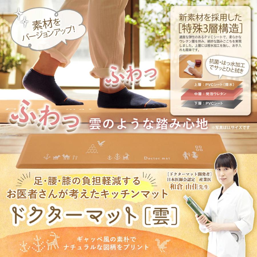 アサヒ軽金属 【9月1日値上げ】ドクターマット雲 (桃) Lサイズ マット