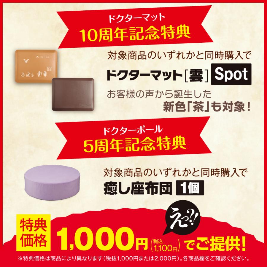 アサヒ軽金属 【特典付き】ドクターマット雲 (栗) LLサイズ マット