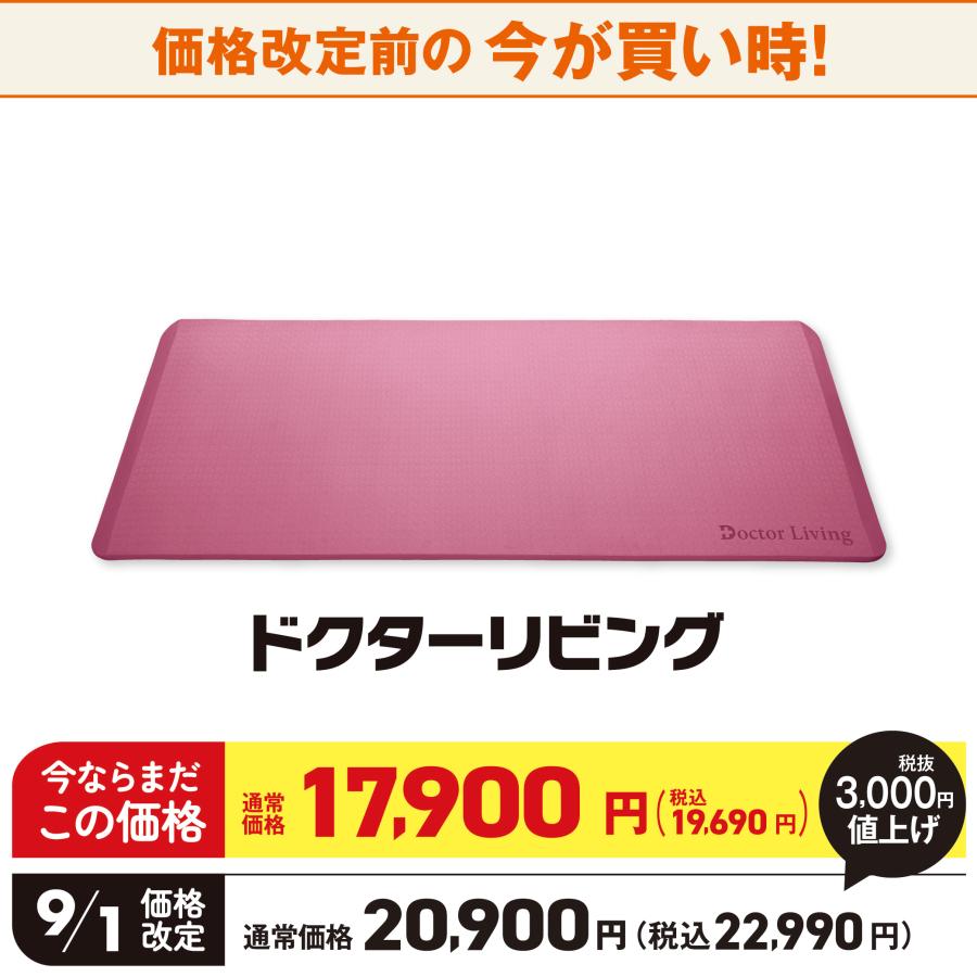 9月1日値上げ】ヨガマット ピラティス マット 20mm エクササイズ