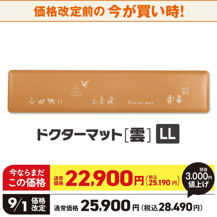 アサヒ軽金属 【9月1日値上げ】ドクターマット雲 (栗) LLサイズ マット