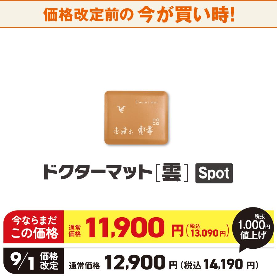 アサヒ軽金属 【9月1日値上げ】ドクターマット雲 (栗) Spotサイズ
