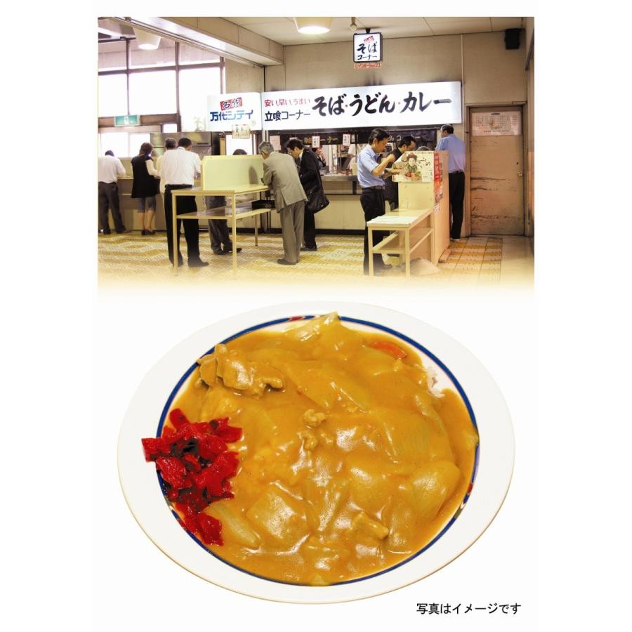 浪花屋製菓 【新潟名物】バスセンターのカレー風味 柿の種 万代そば