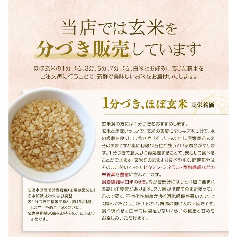 ミルキークイーン玄米10kg令和２年産 選べる精米 分づき 安い 送料無料 1 532 10 朝比奈屋ヤフー店 通販 Yahoo ショッピング
