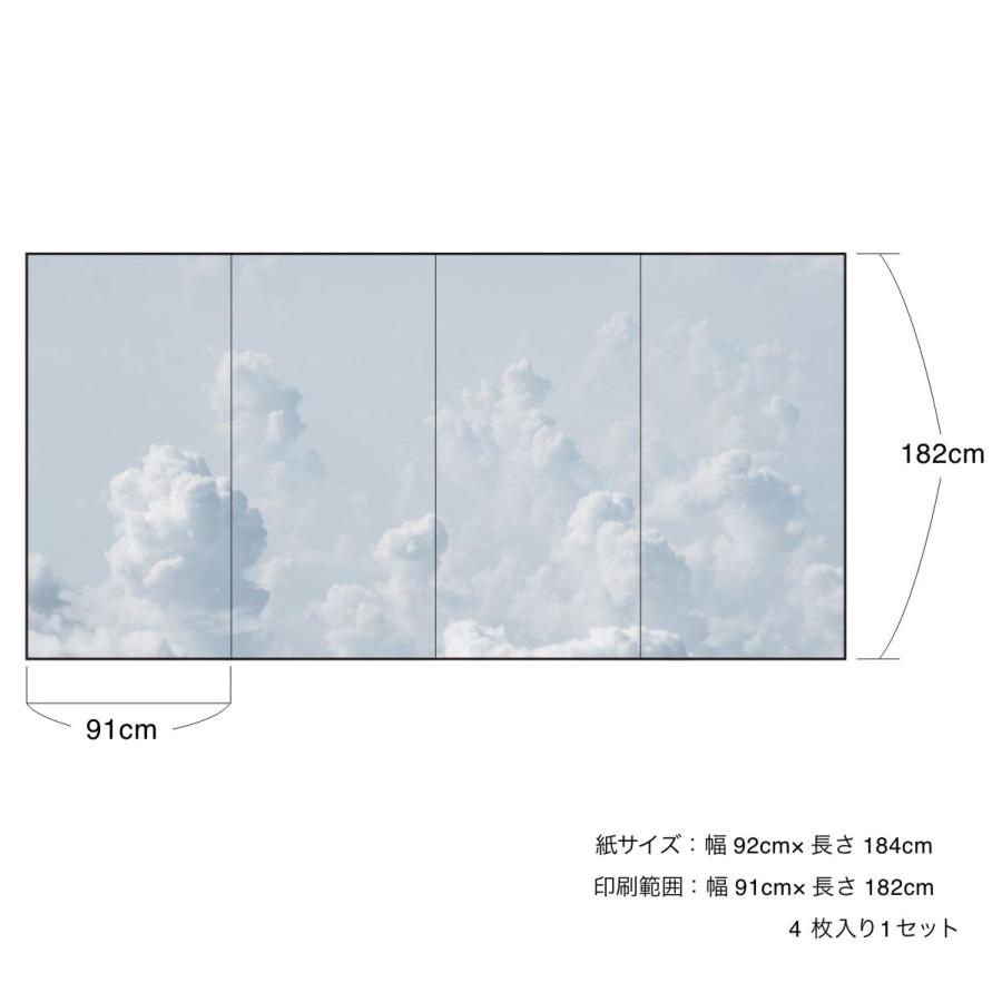 アサヒペン デザインふすま紙 襖紙 三尺四枚建て 雲 TFT_005F 4枚1組