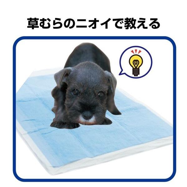 TAURUS (トーラス) おマル上手 しつけ犬猫 100ml｜asahipenstore｜06