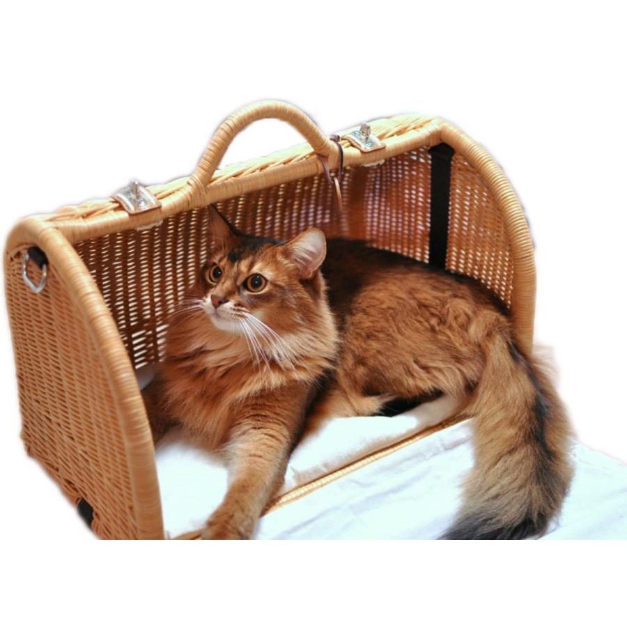 ペット用キャリー ラタンキャリーマイン キャラメル 猫用 推奨体重〜6kgまで ペット用品 ペット 爆買の画像