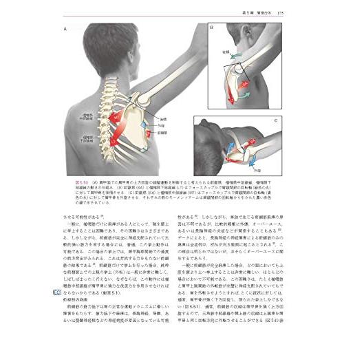 筋骨格系のキネシオロジー　原著第3版 