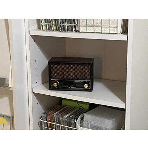 FESCO 唱歌ラヂオ DX100 AM/FMラジオ付き音楽プレイヤー SRDX-001 SRDX