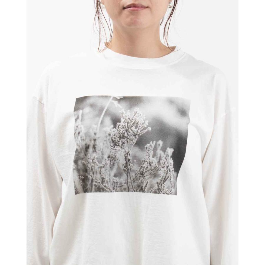 sabbatum サバタム 26/1BDTOP度詰天竺 前後差スタンダードプリントTee（PHOTO PRINT） SA-35204 レディース Tシャツ ナチュラル ファッション 30代 40代 50代 sabbatum サバタム 26/1BDTOP度詰天竺 前後差スタンダード